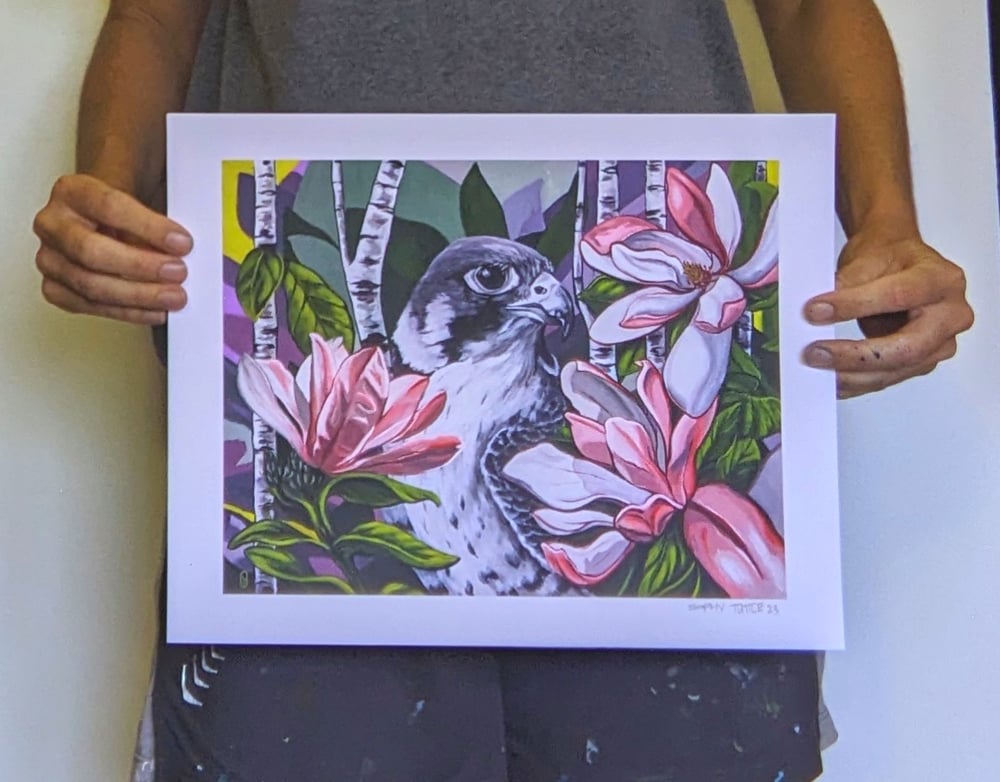 Image of Peregrine Print