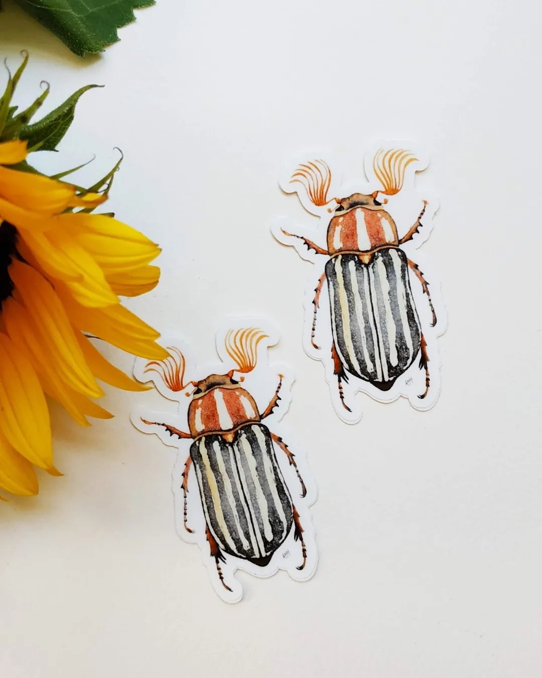 Image of June Beetle Waterproof Sticker 