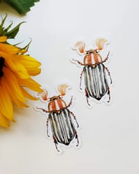 Image 5 of June Beetle Waterproof Sticker 