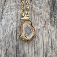 Image 1 of Fossilised Wood