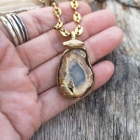 Image 4 of Fossilised Wood