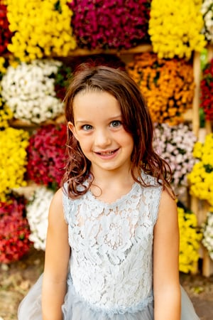 Image of Fall MUM WALL Minis 2023!!