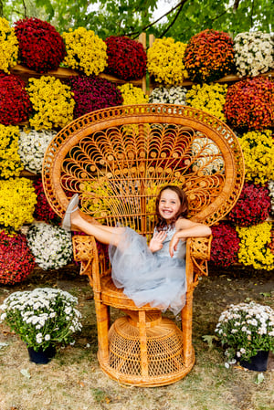 Image of Fall MUM WALL Minis 2023!!