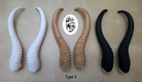 Image 1 of Replica Springbok Horns