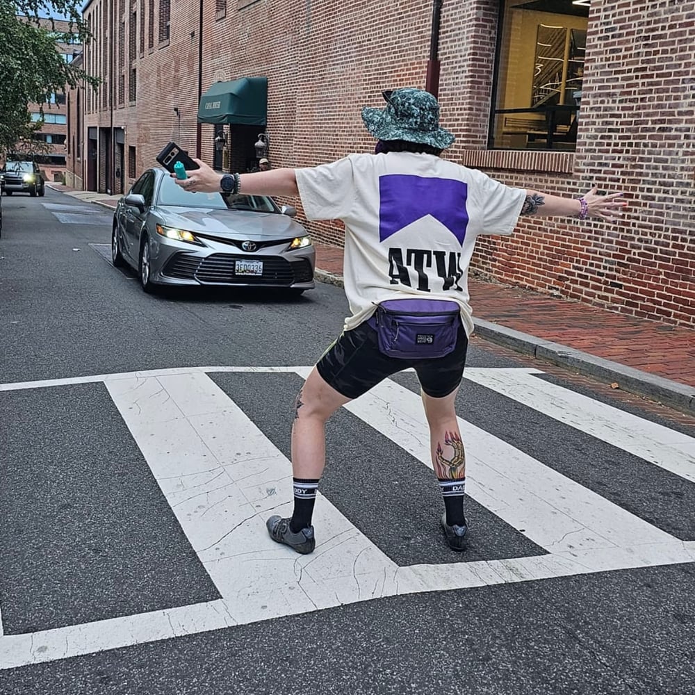 Image of everything is purple