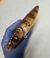 MicroHog in WalleyeFinger 