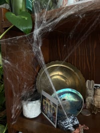 Image 3 of Plastic-Free Spidey Webs