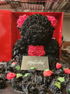 Rose teddy bear