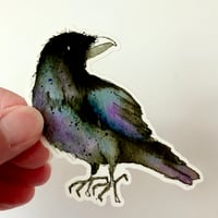Image 1 of Raven sticker