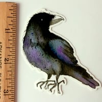 Image 3 of Raven sticker