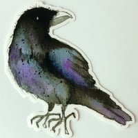 Image 5 of Raven sticker
