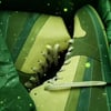 Beacon Hill: Evergreen (free shipping in the US)