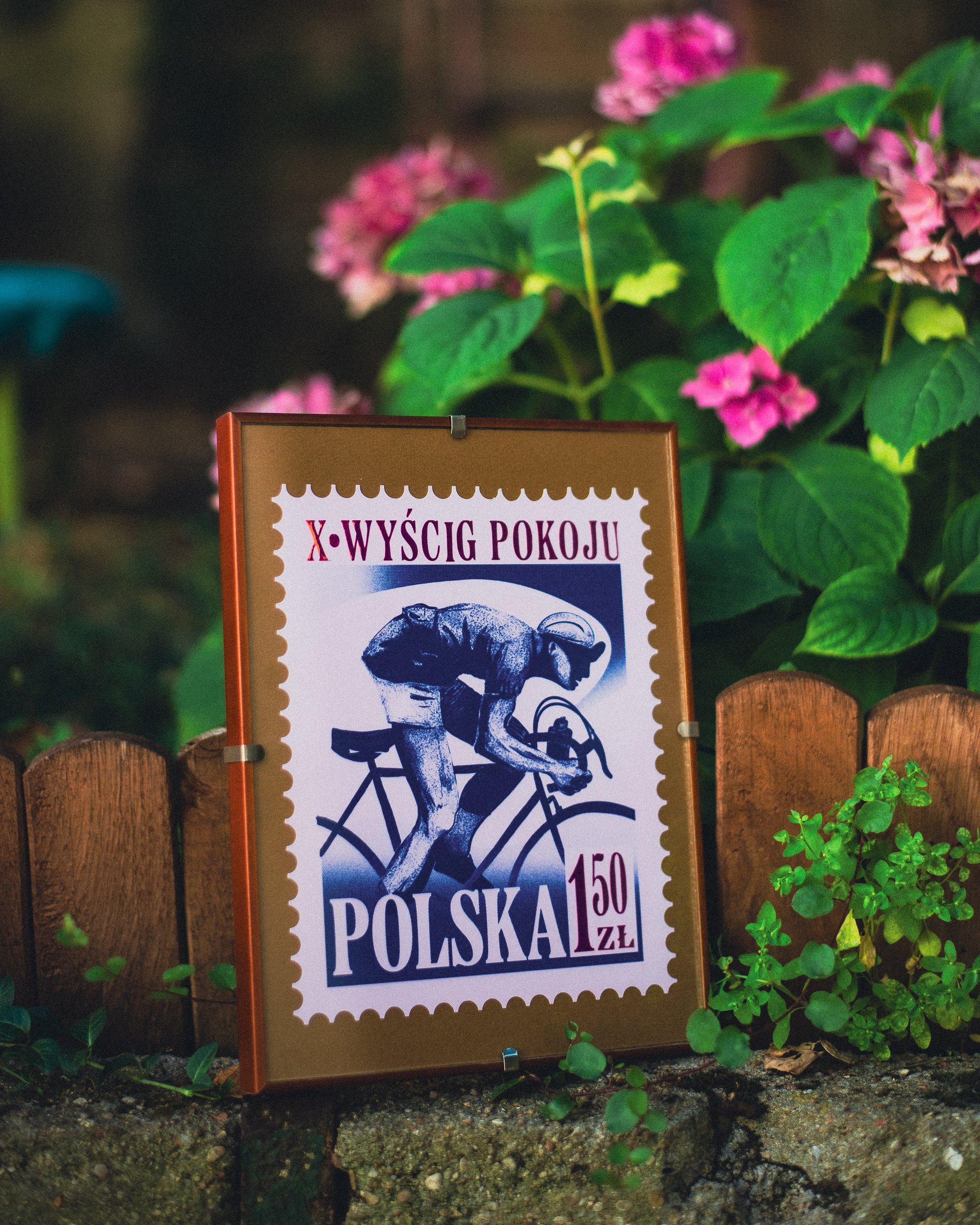Image of Cycliste Polonais