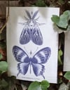 Big temporary tattoo  "Star butterfly and Tiger moth"