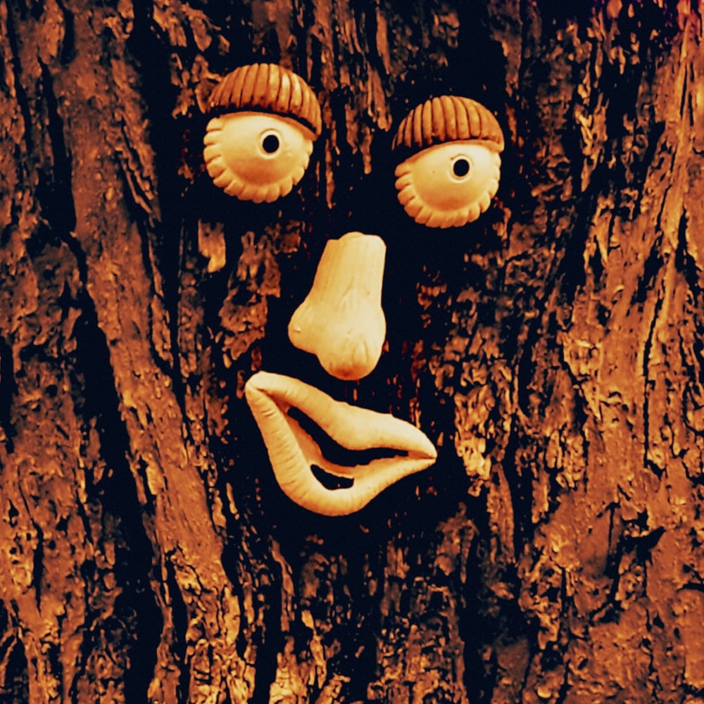 Prosthetic Bung "Mr. Neckofthewoods" MC