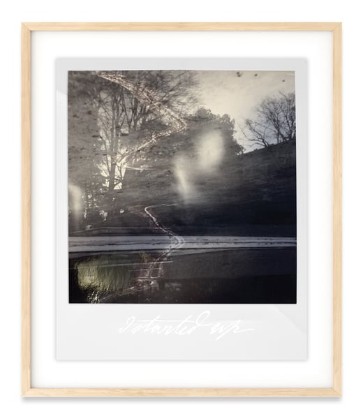 Image of Sarah Keliher Walsh | POLAROID SERIES // I STARTED UP