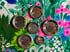 New York City Pinback Buttons Lot of 6 (Set E) Image 2