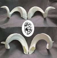 Image 2 of  Replica Large Sheep Ram Horns