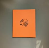 orange  j̶u̶i̶c̶e̶ ̶i̶n̶ ̶t̶h̶e̶ ̶w̶i̶n̶t̶e̶r̶ sun - Jaime Molina