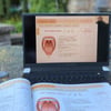 TAJWID BOOK + VIDEOS BUNDLE