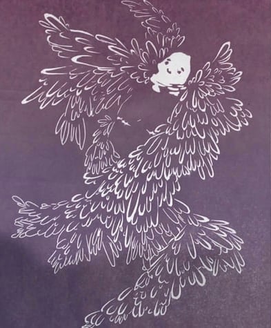 Image of the boy who could fly