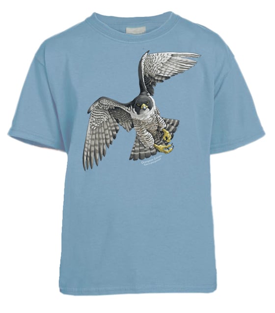 Image of Peregrine Falcon youth t-shirt