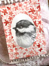 Poecile atricapillus – Black Capped Chickadee pencil drawing