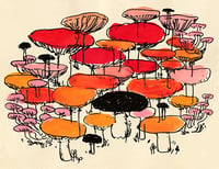 Mushrooms in Red, Orange, and Pink - Print