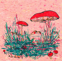 Frogs & Mushrooms on Pink - Print