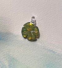 moss clover