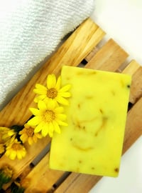 Image 1 of Calendula, Shea Butter Bar Soap 
