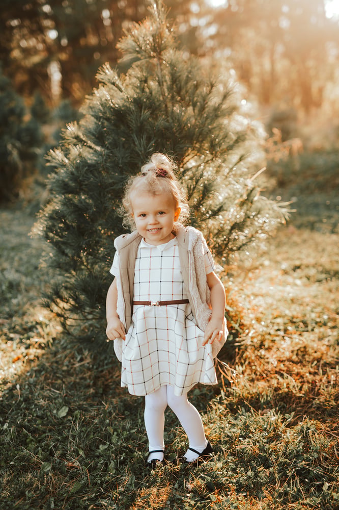 Image of November 17th | Tree Farm Mini Sessions