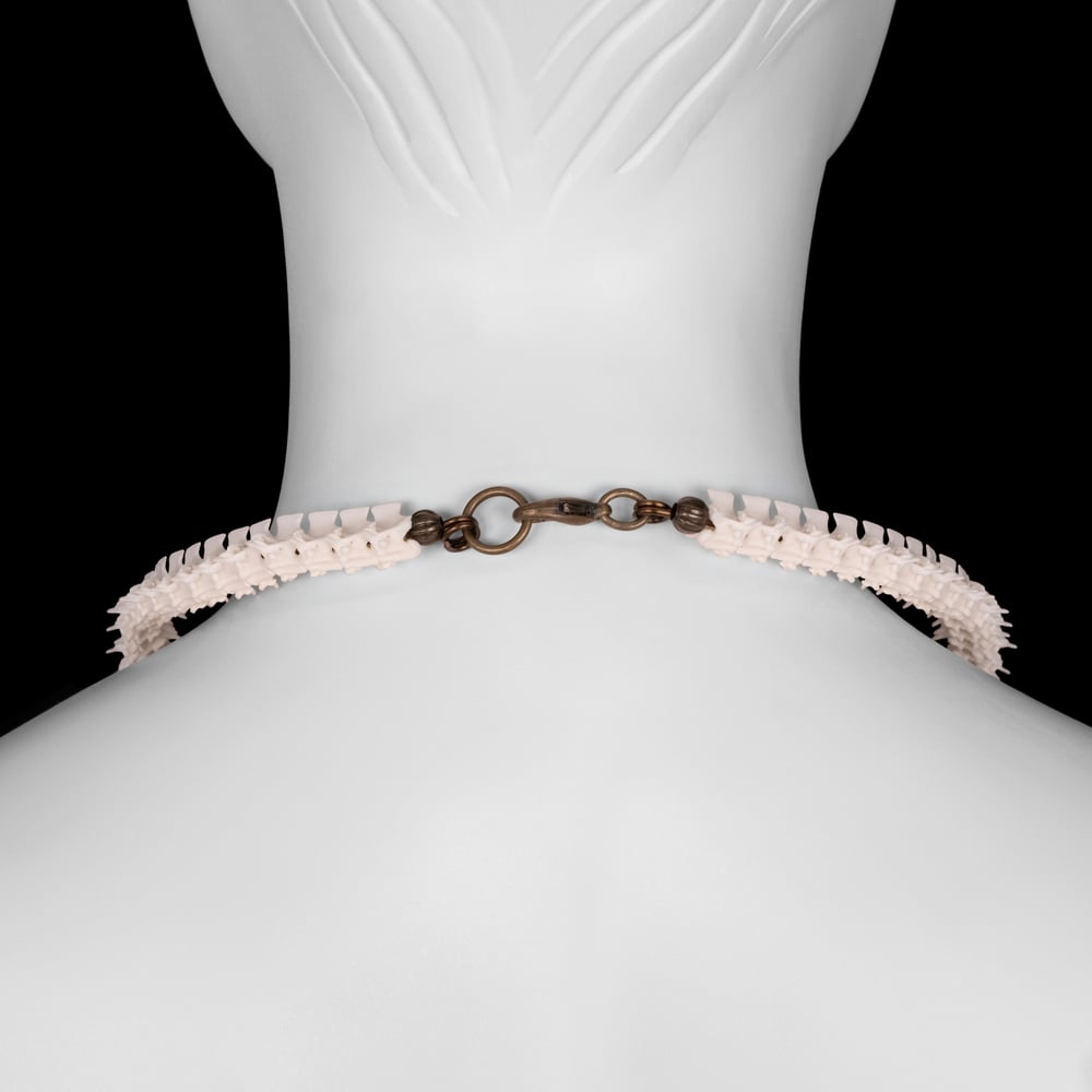 Image of "Zyan" Turkey and Chicken Skull Necklace