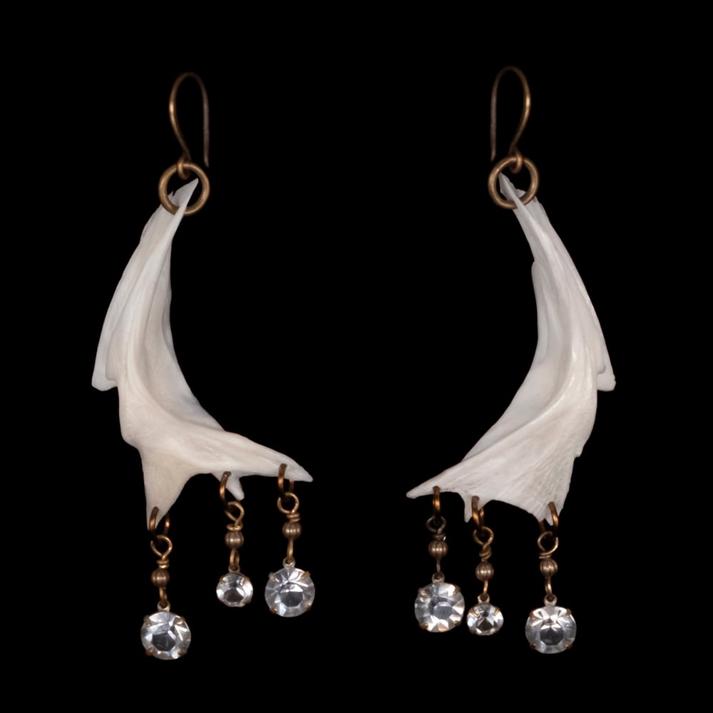 Image of "Ferrah" Fish Bone Earrings