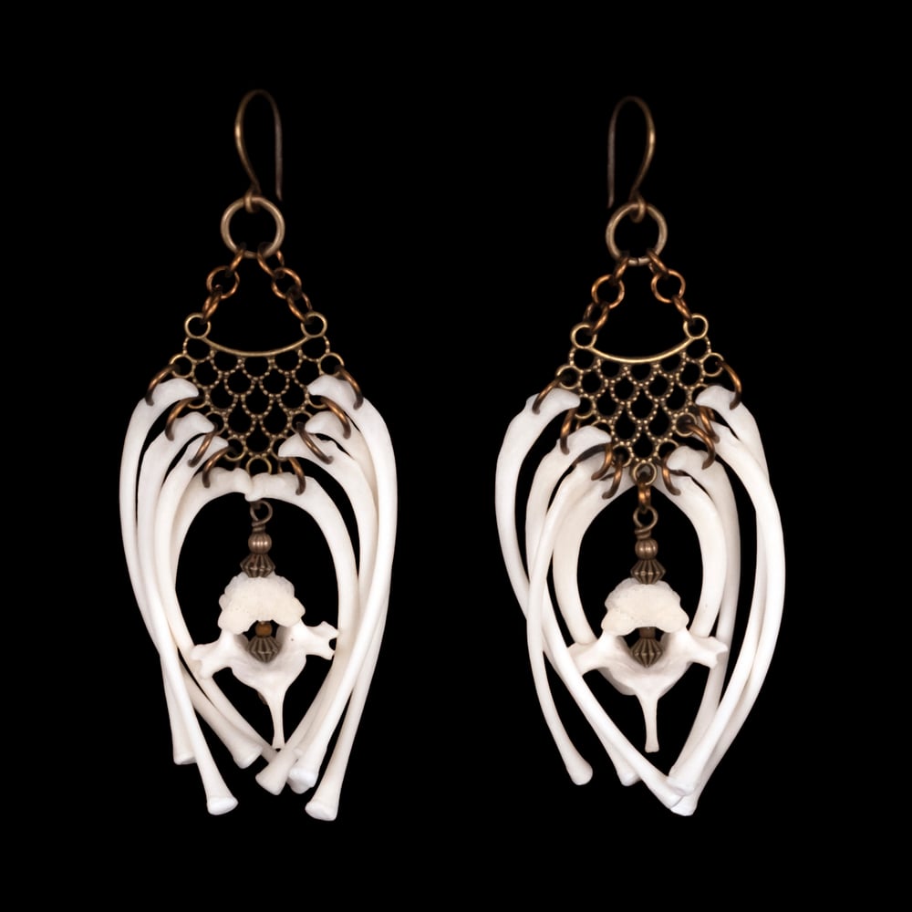 Image of "Aysha" Raccoon Rib Bone Earrings