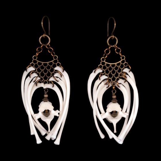Image of "Aysha" Raccoon Rib Bone Earrings