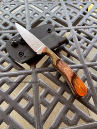 Image 1 of EDC Fixed blade knife 2