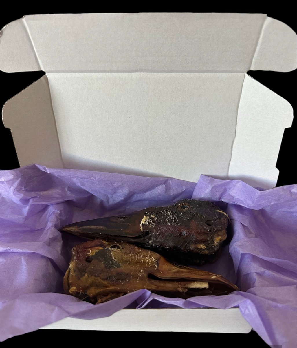 2 pack duck head walking paws pet treats