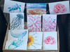 Premium multi-pack greeting cards