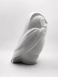 Image 2 of Gufo bianco portafortuna