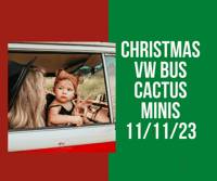 Volkswagen Bus Christmas Cactus Minis 11/11