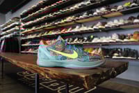 Image 1 of ZOOM KOBE VI "PRELUDE" *USED*