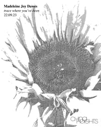 Image 2 of Madeleine Joy Dawes 'wildflowers don't care where they grow'. Original artwork