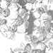 Image of Madeleine Joy Dawes 'wildflowers don't care where they grow'. Original artwork