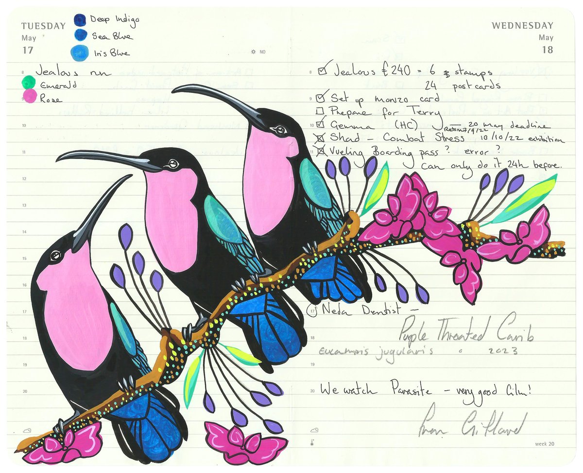 Image of A Constellation