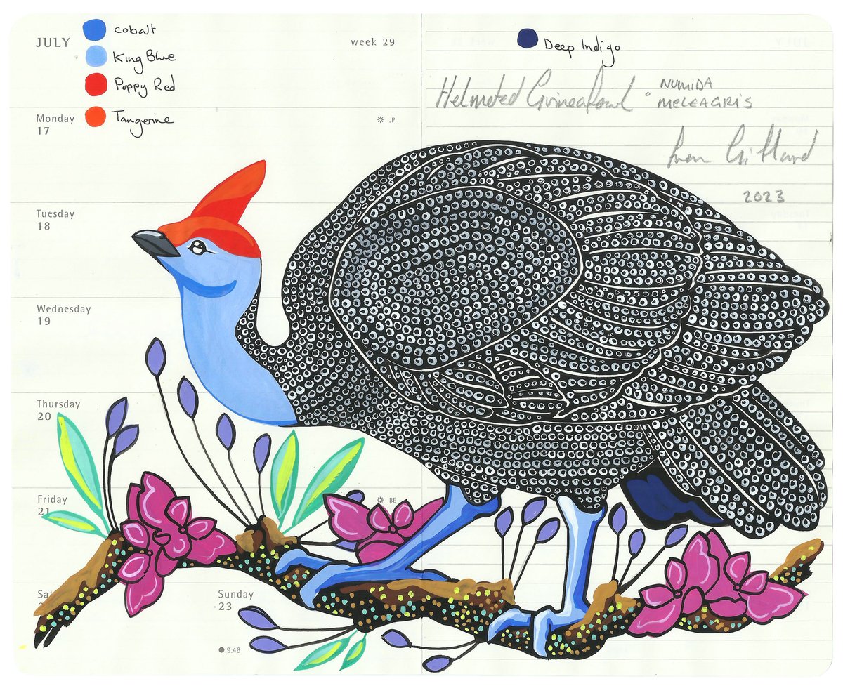 Image of A Constellation