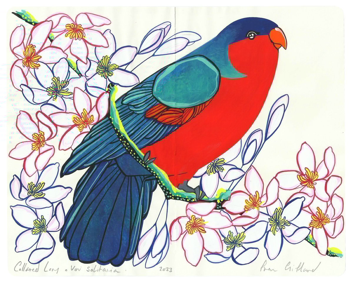 Image of A Constellation