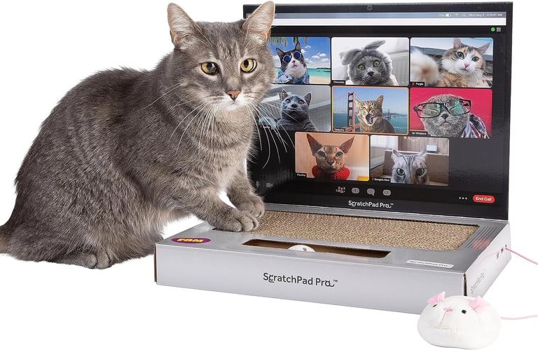 ScratchPad Pro - Laptop Scratcher Cat Toy - Unique Cat Toy 3-in-1 with Stickers