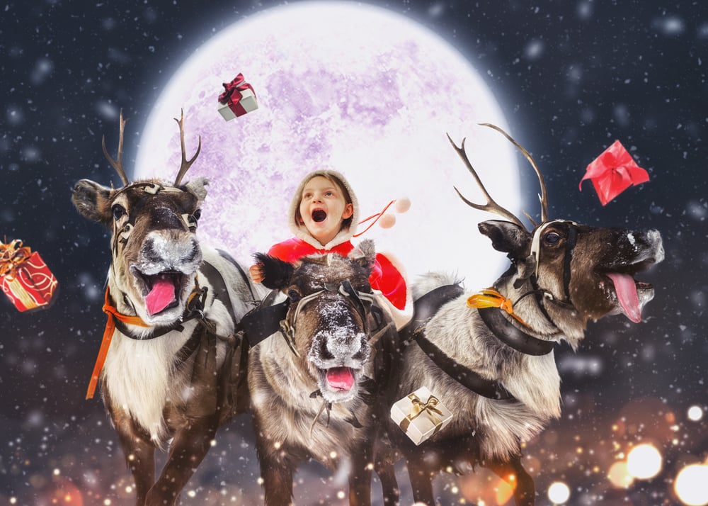 Image of Reindeer Adventure Edit