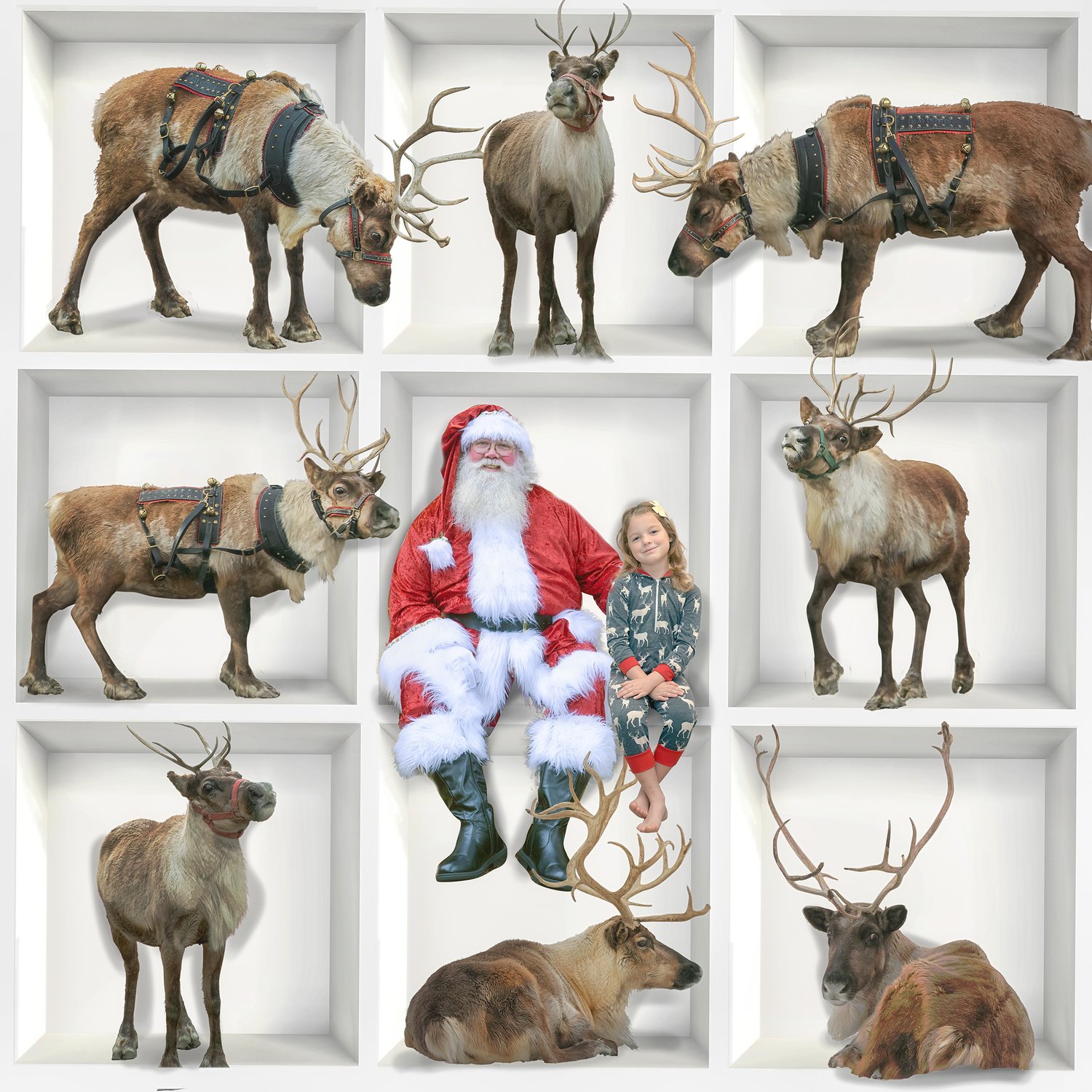 Image of Santa's Friends Box Edit